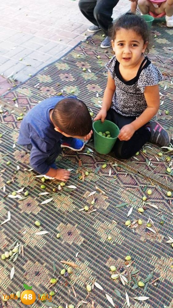 alkeram zatoon3 (9).jpg